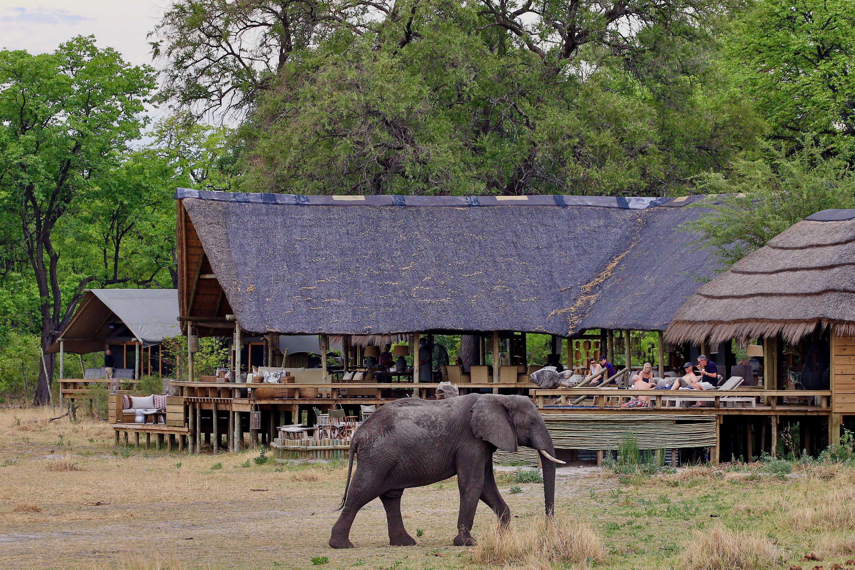 Sable Alley thumbnail 4