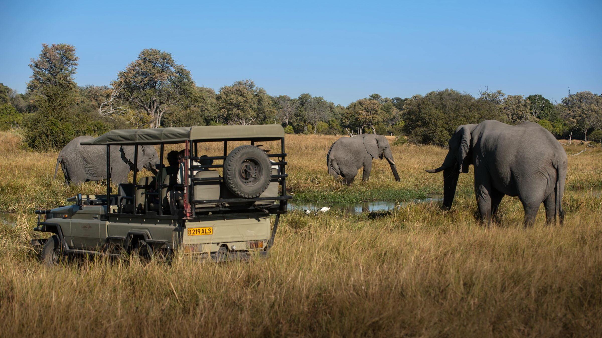 Little Sable thumbnail 8