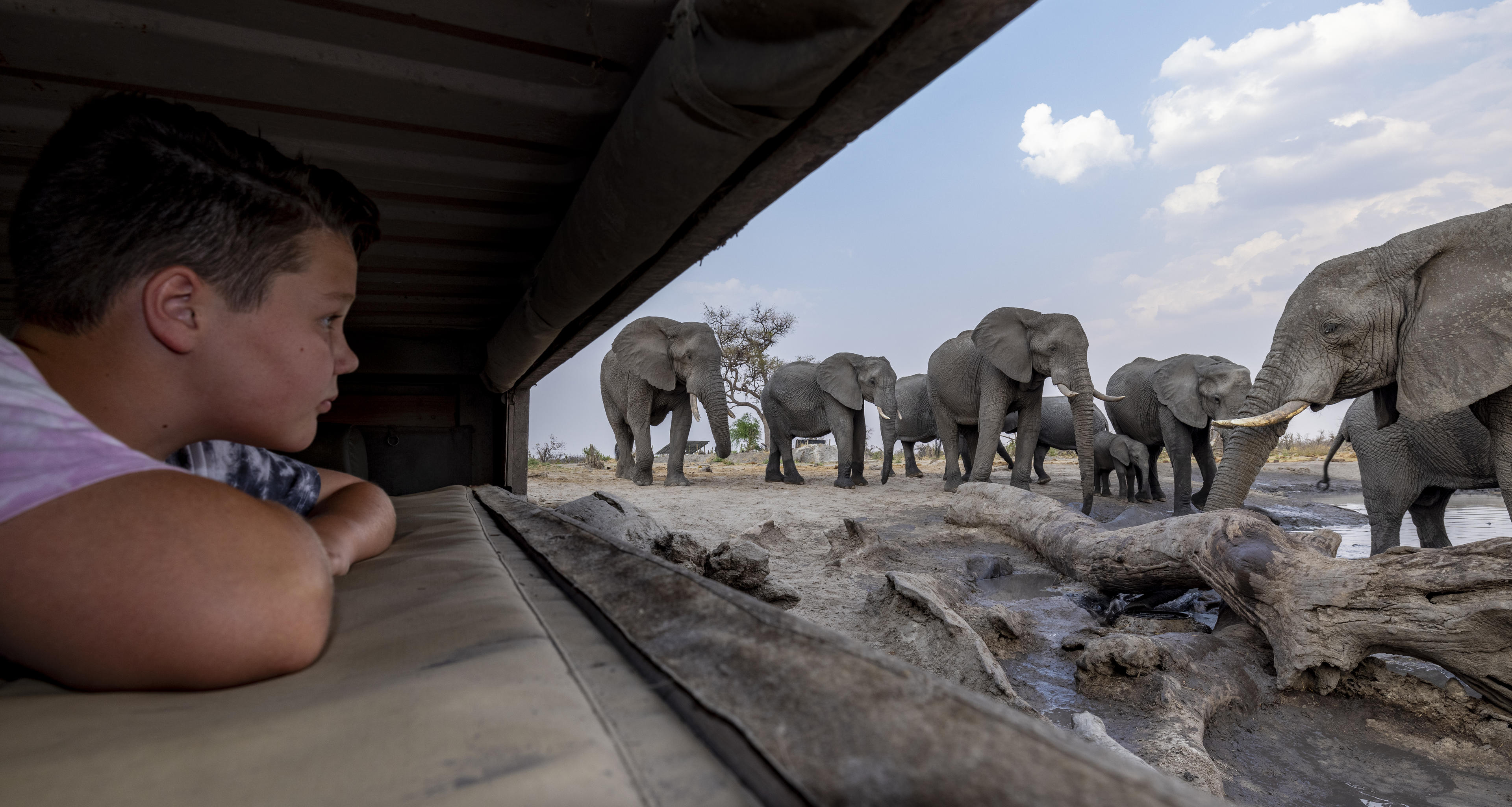 Elephant Pan thumbnail 11