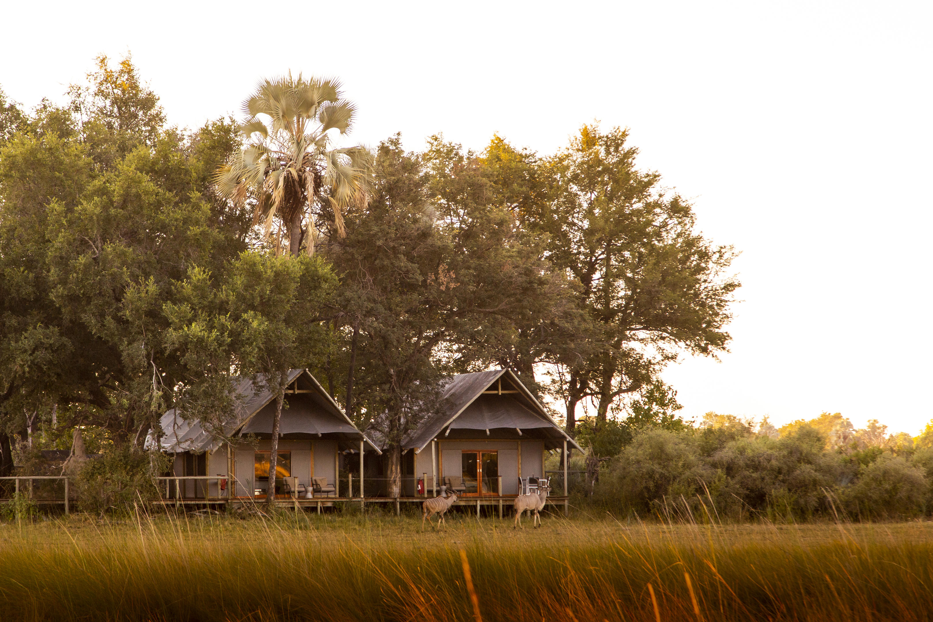 Wilderness Chitabe Lediba