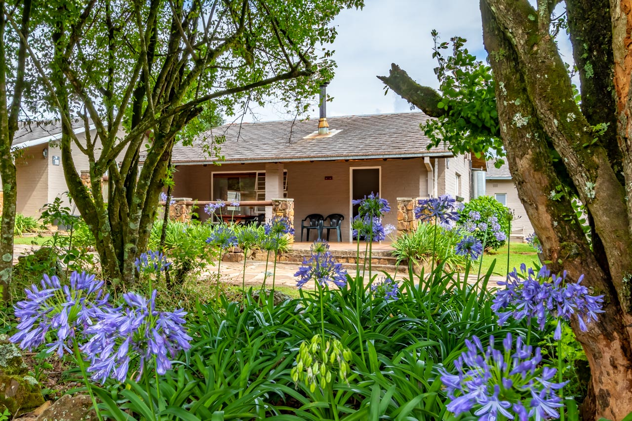 Misty Mountain thumbnail 2