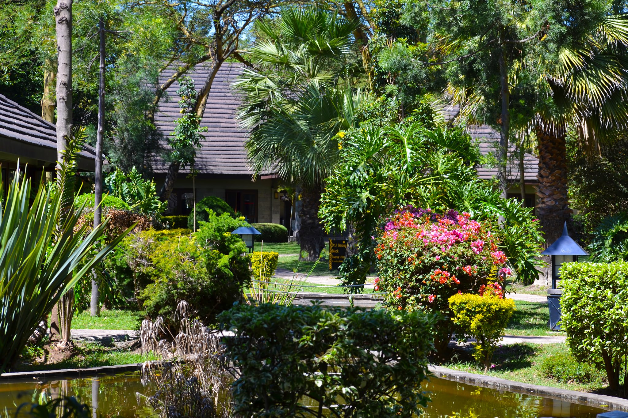 Lake Naivasha Simba Lodge