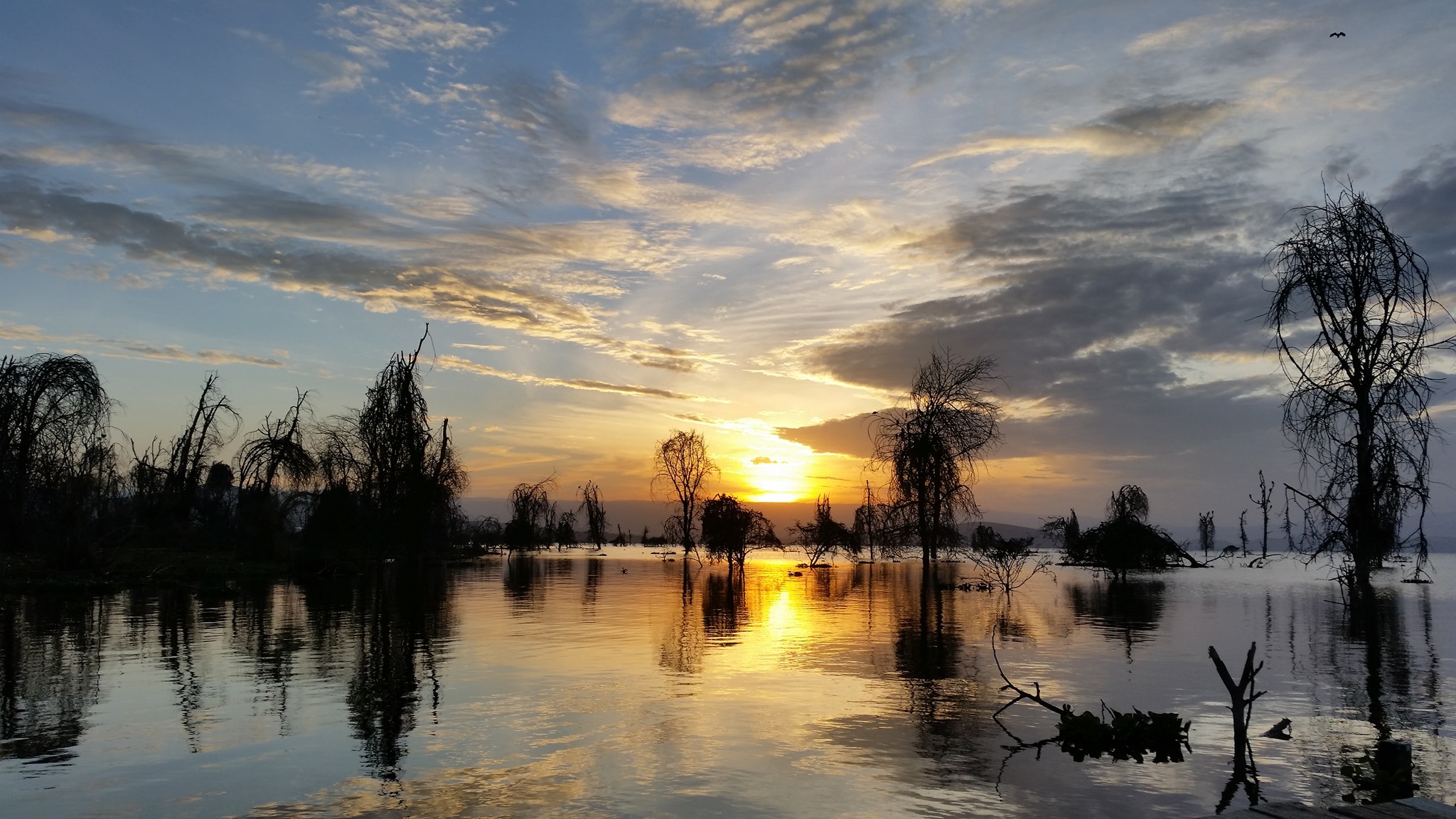 Lake Naivasha Simba Lodge thumbnail 4