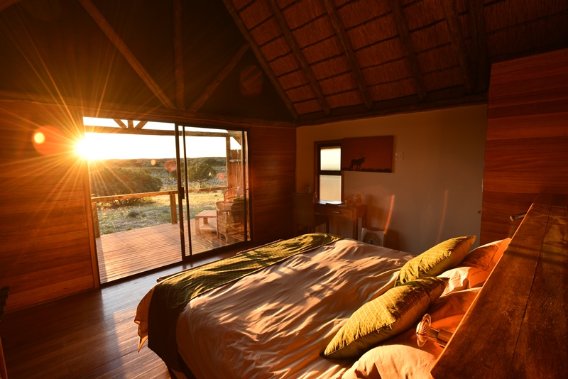 Ta Shebube Rooiputs thumbnail 4