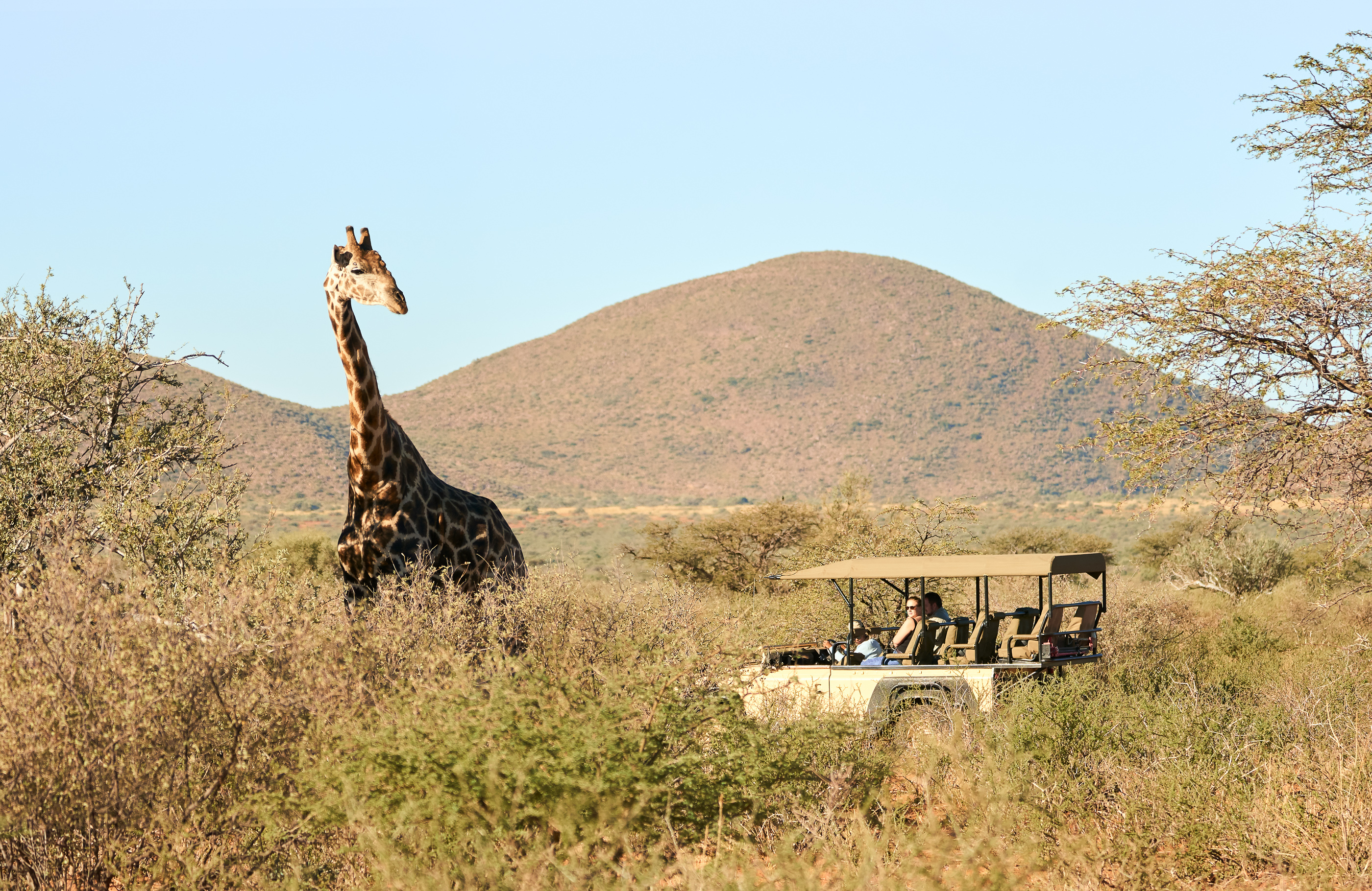 Tswalu Loapi Tented Camp thumbnail 4