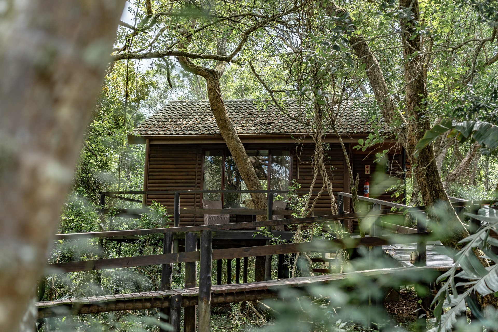 Gooderson Bushlands Game Lodge thumbnail 4