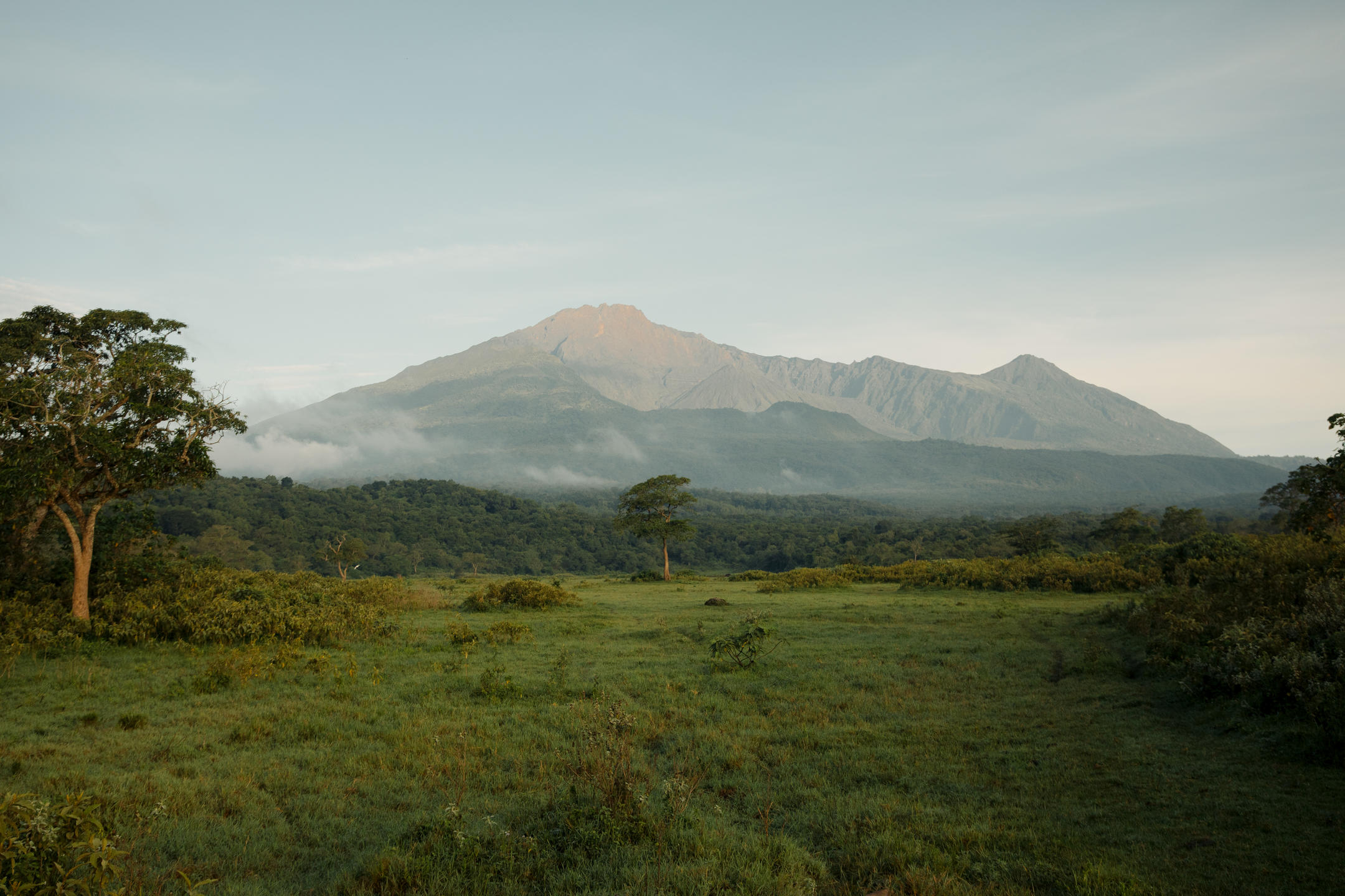 Koroi Forest Camp thumbnail 6