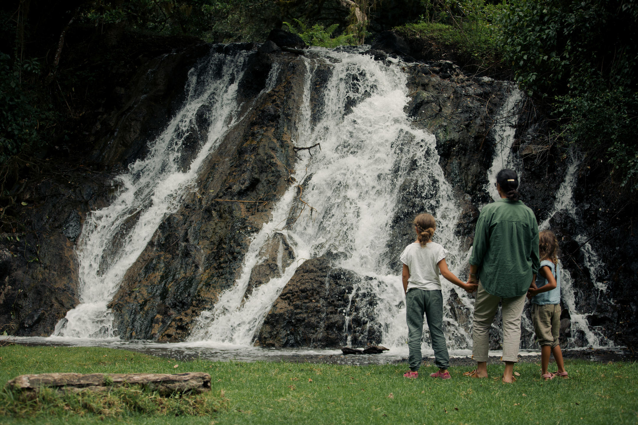 Koroi Forest Camp thumbnail 5