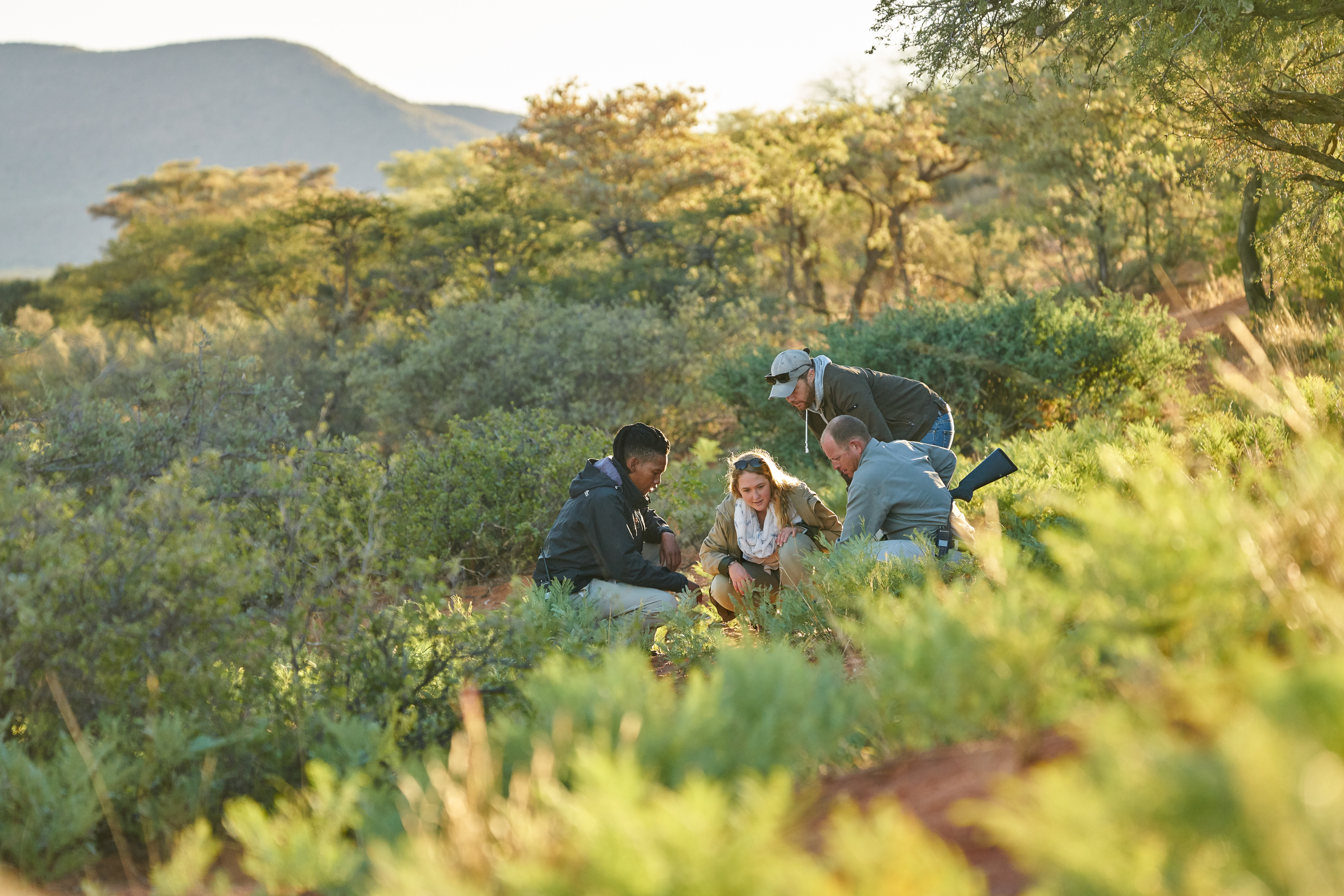 Tswalu Loapi Tented Camp thumbnail 8