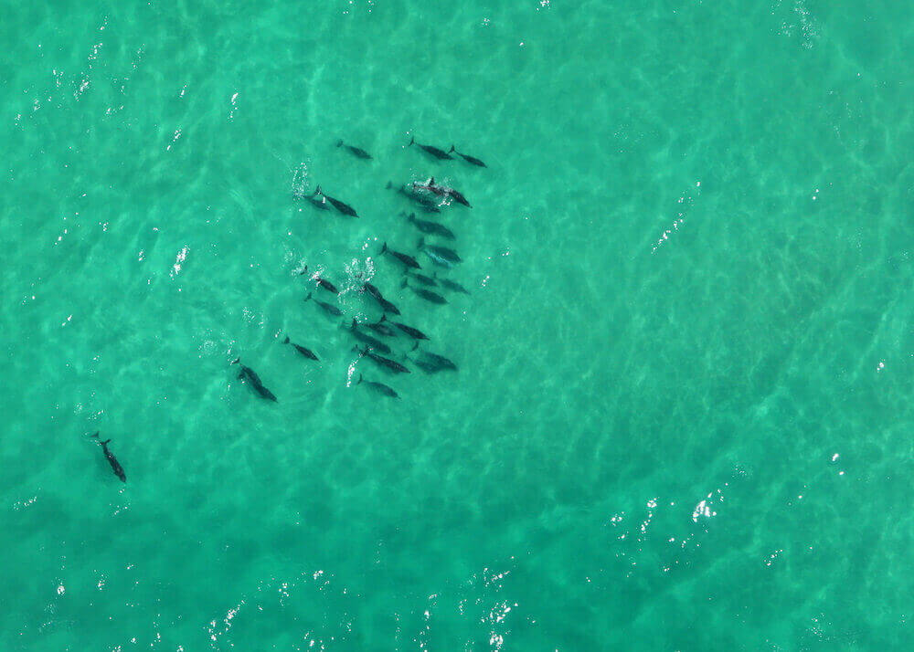 Lekkerwater Beach Lodge thumbnail 16