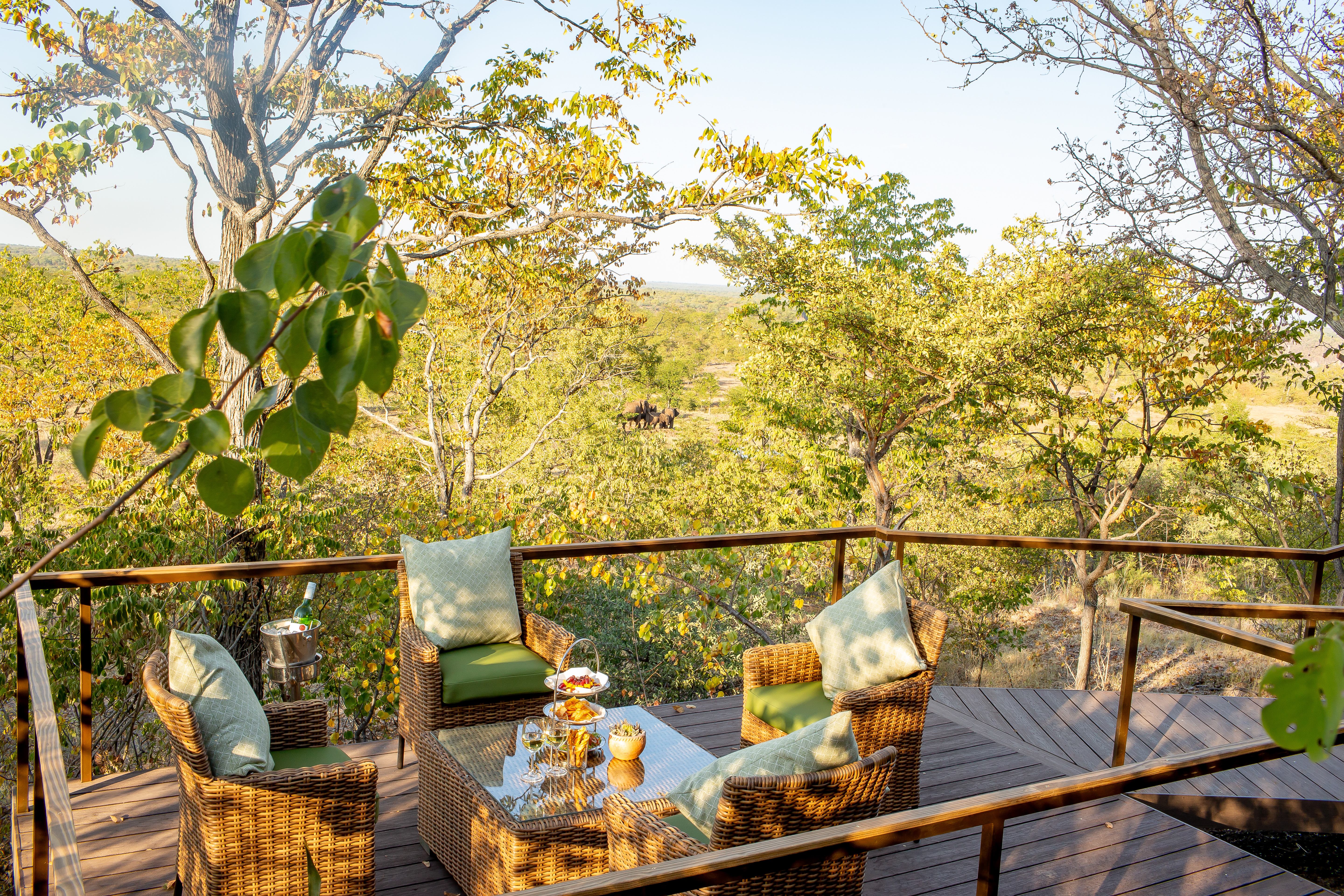 The Elephant Camp Main thumbnail 3