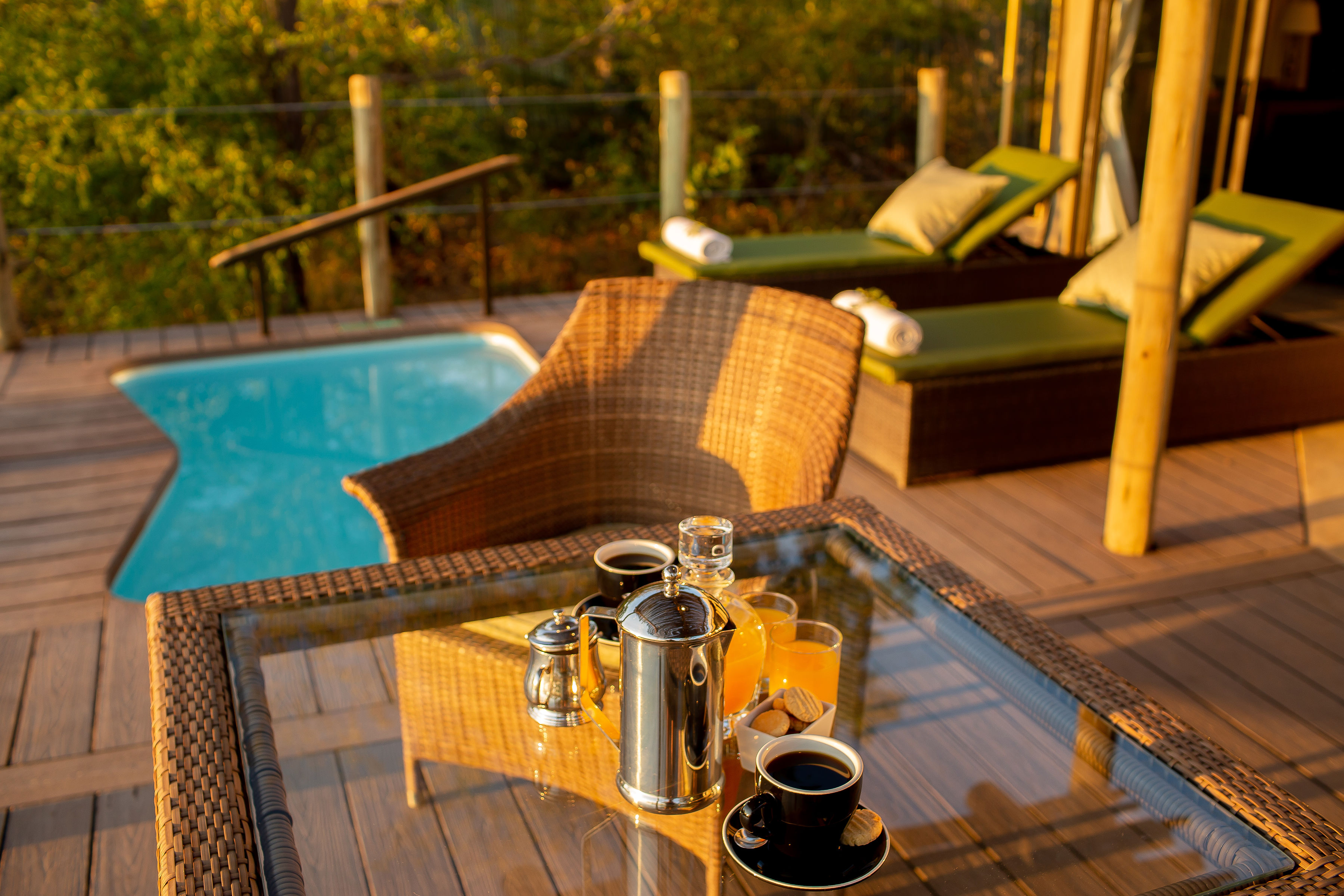 The Elephant Camp Main thumbnail 23