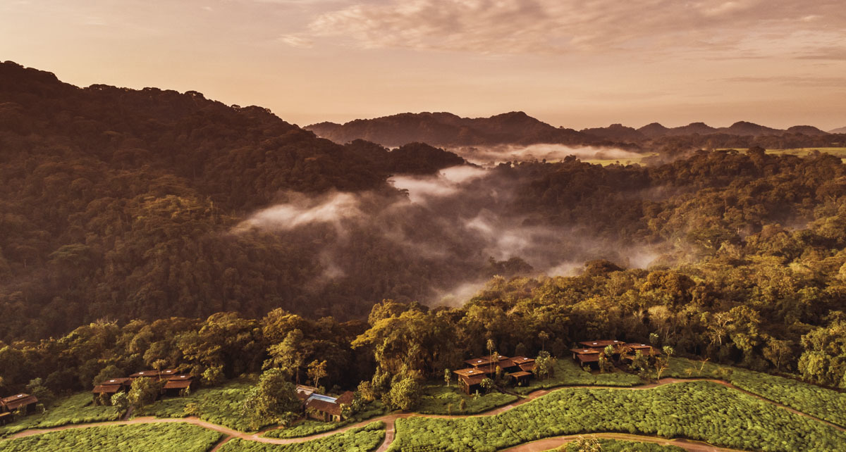 One&Only Nyungwe House thumbnail 7