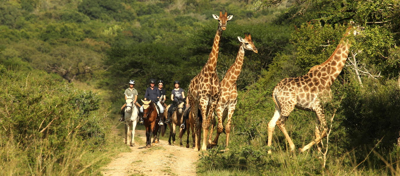 Pakamisa Private Game Reserve