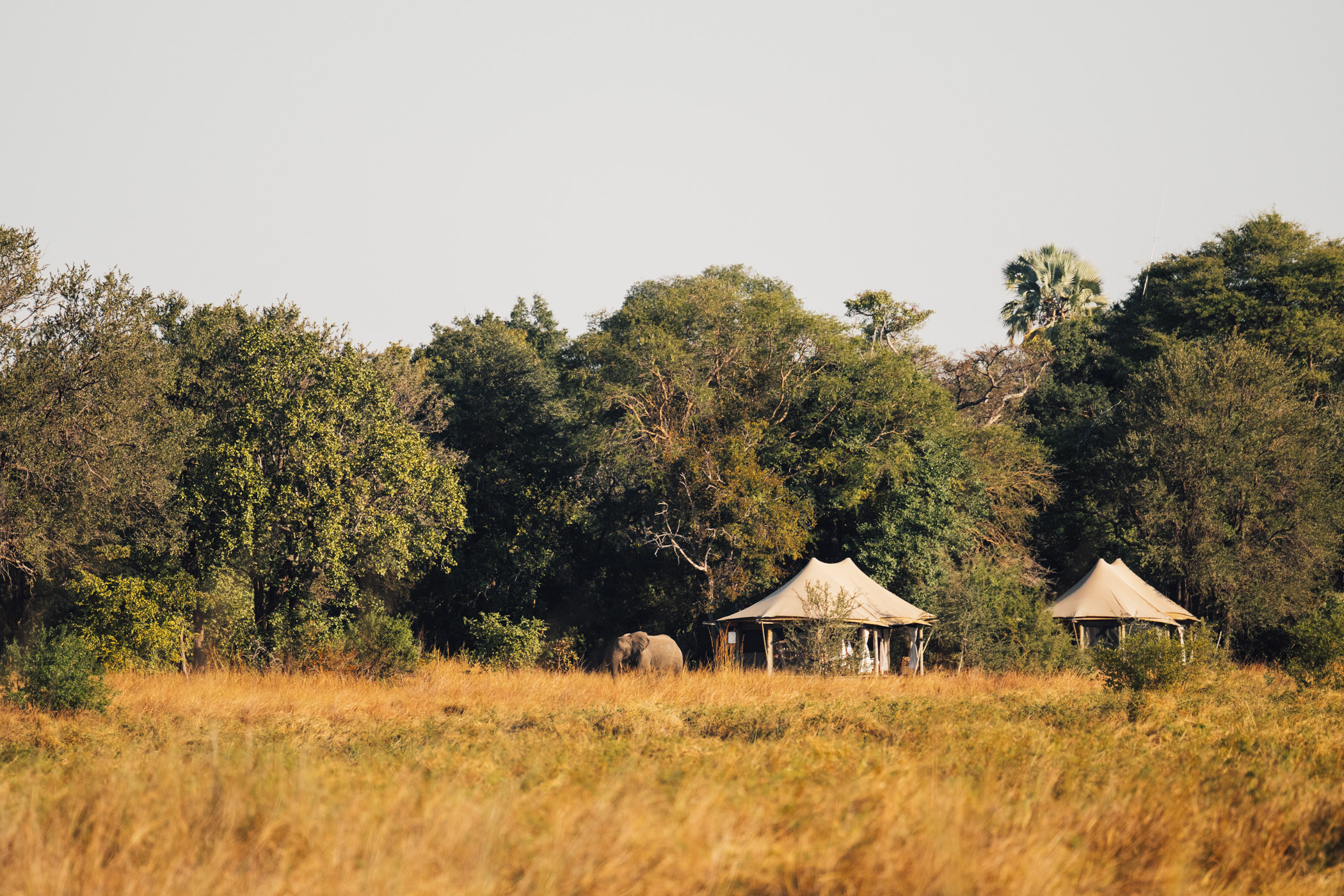 Musekese Camp thumbnail 7