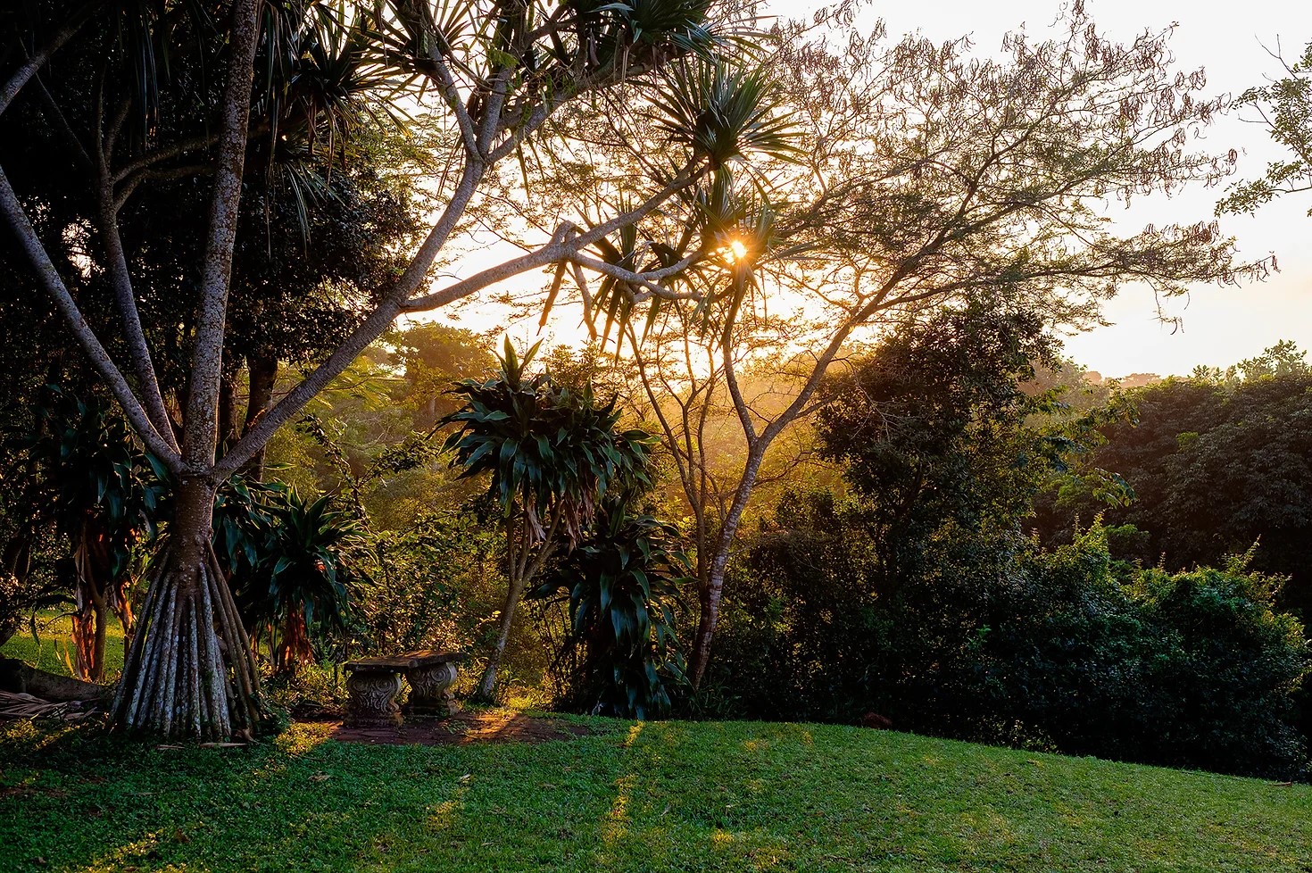 The St. Lucia Eco-Lodge thumbnail 5