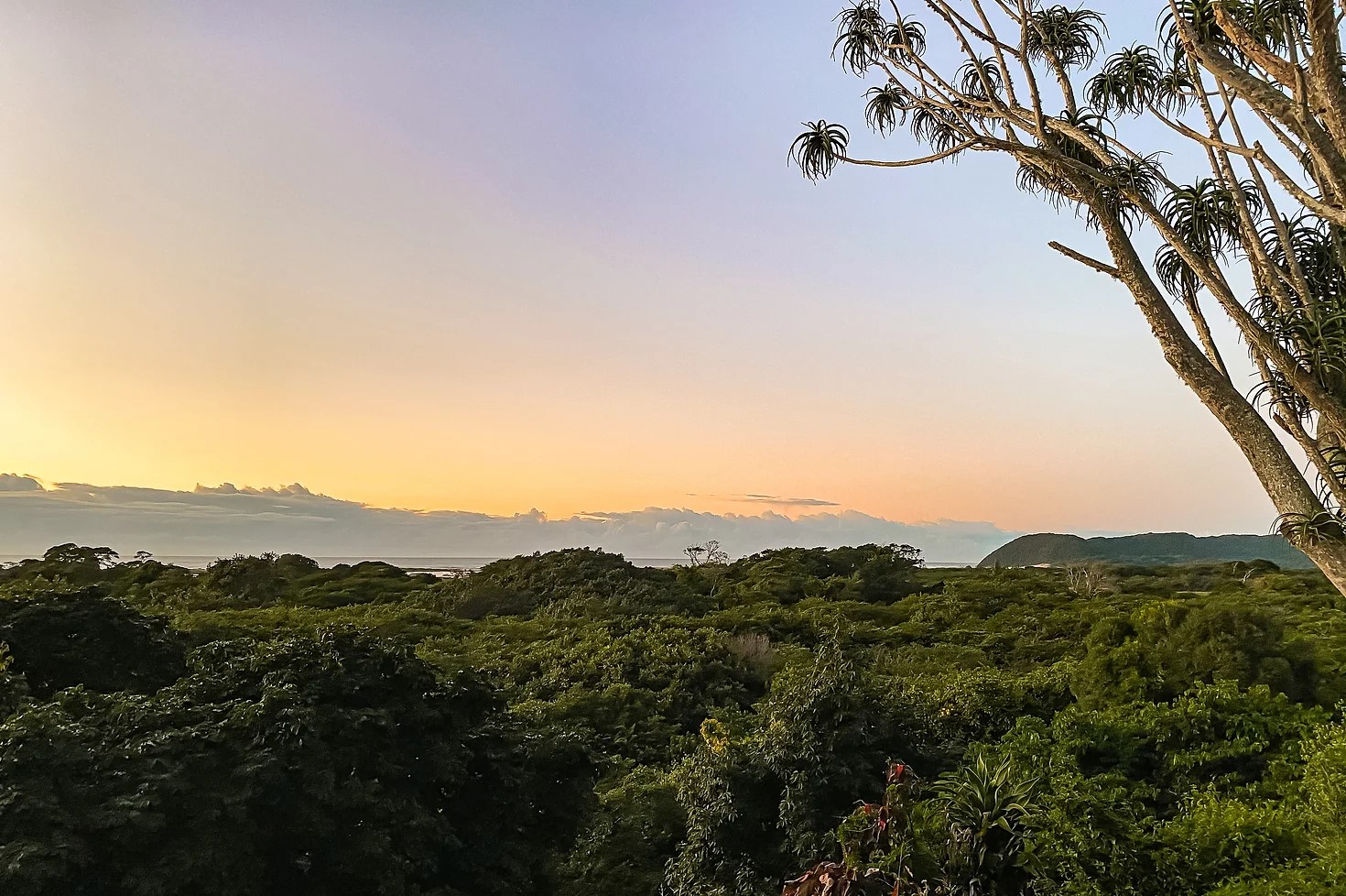 The St. Lucia Eco-Lodge