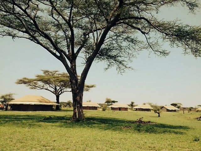 Mbugani Seronera Camp