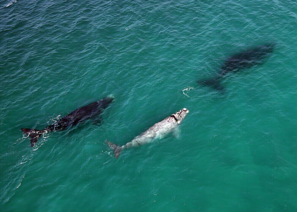 Lekkerwater Beach Lodge thumbnail 21