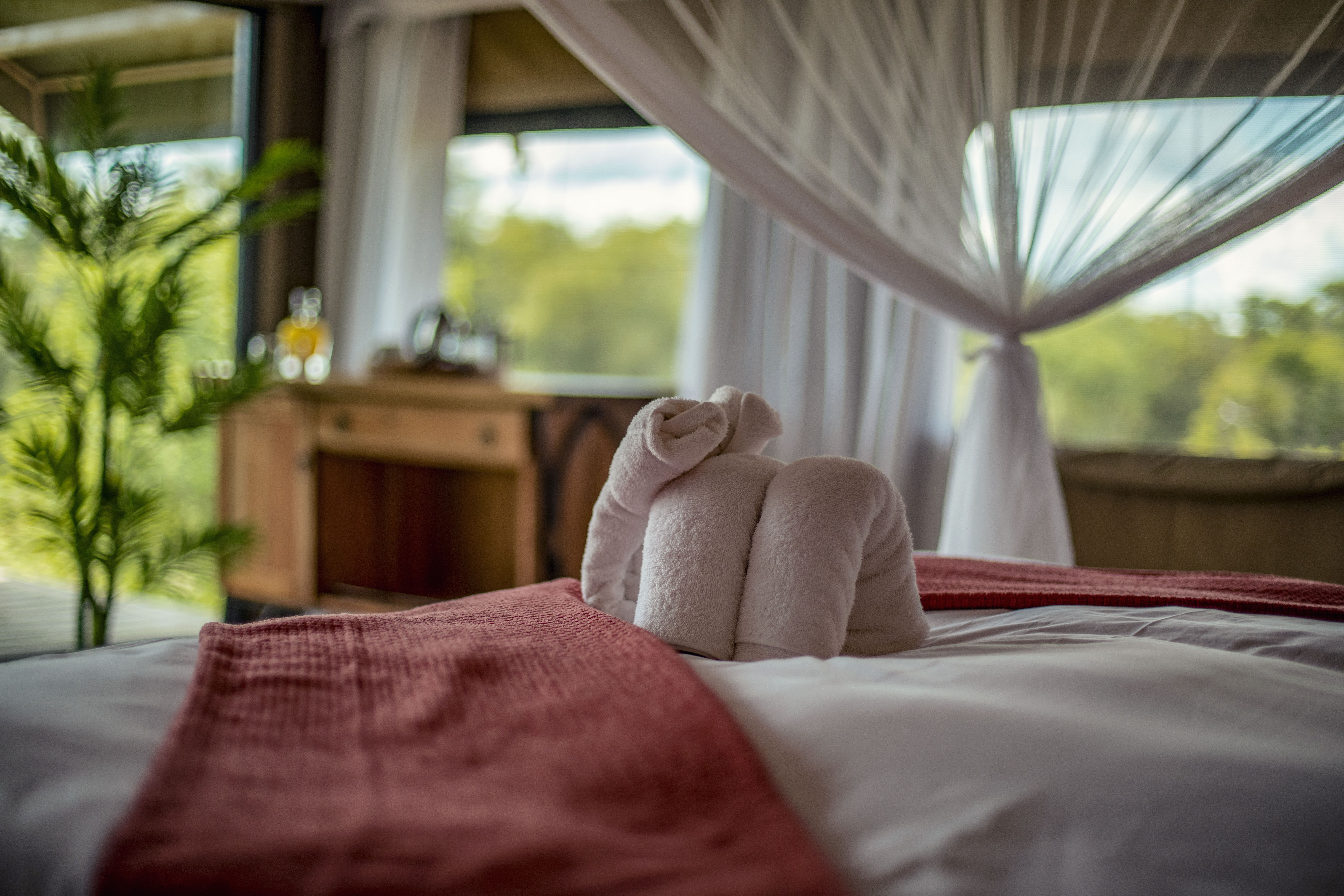 <p>All rooms large with comfortable bedding&nbsp;</p>