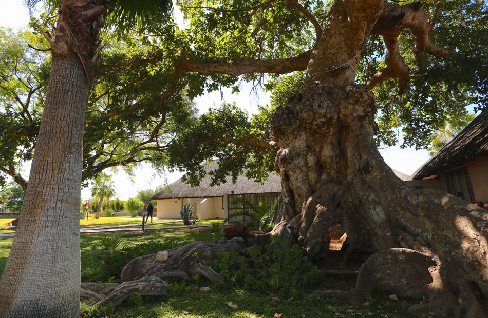 La Rochelle Lodge thumbnail 3