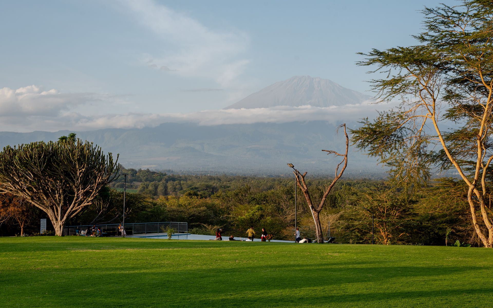 Forest Hill Hotel thumbnail 2