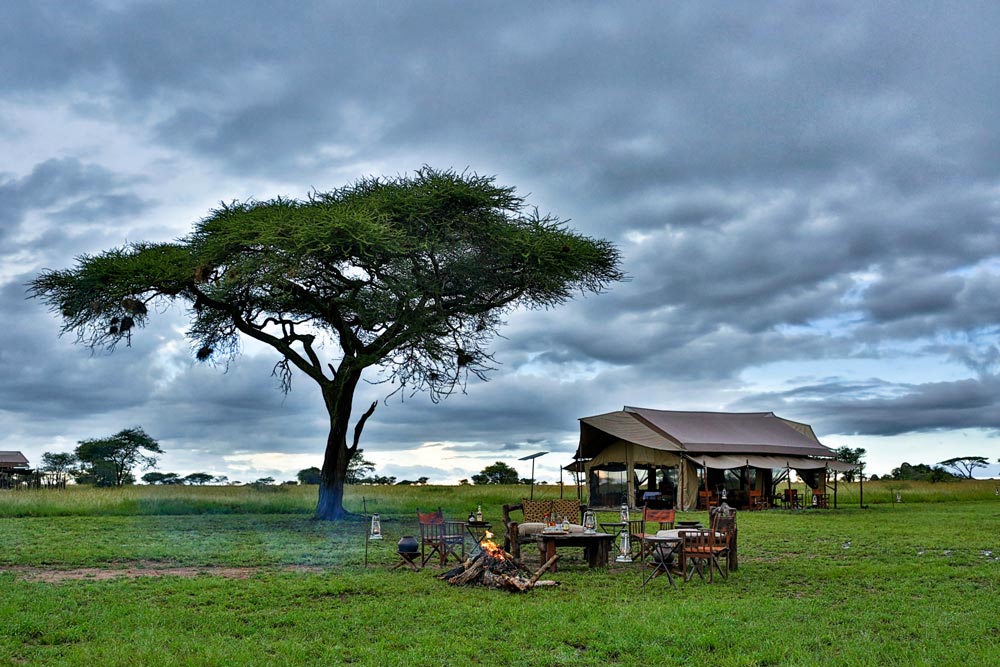 Pumzika Luxury Safari Camp thumbnail 4