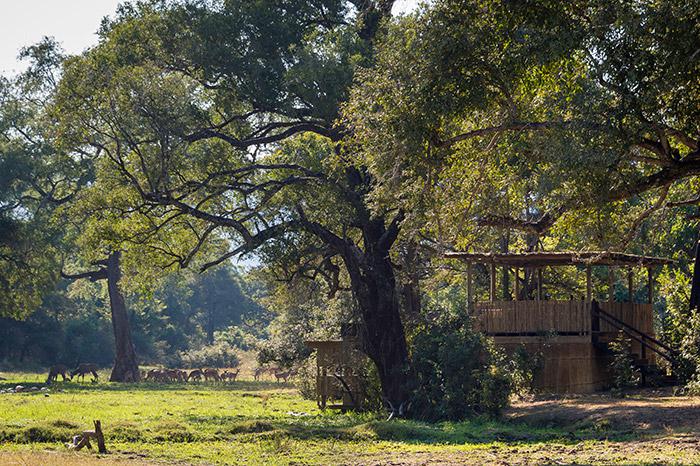 Chamilandu Bushcamp thumbnail 4