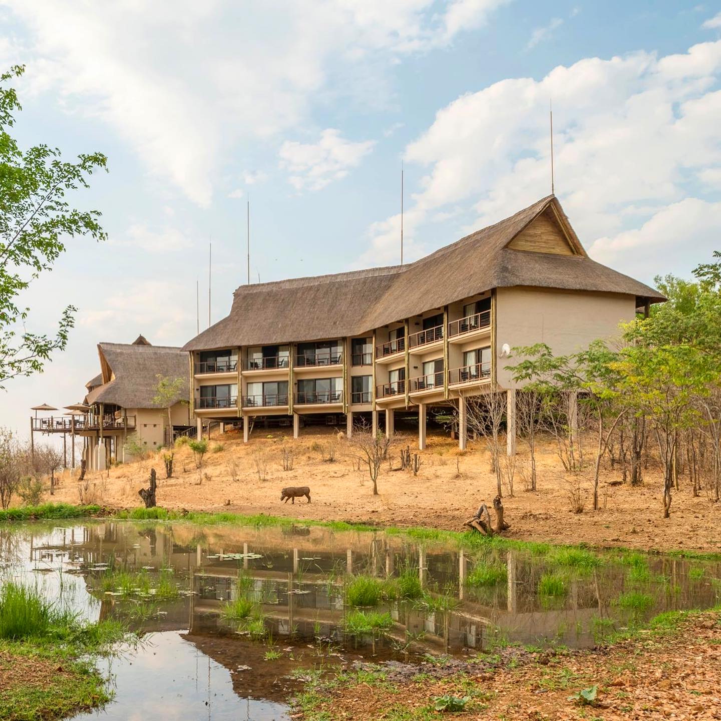 Victoria Falls Safari Club