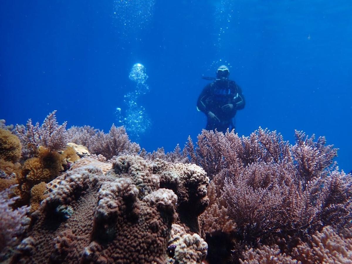 Fundu Lagoon thumbnail 4