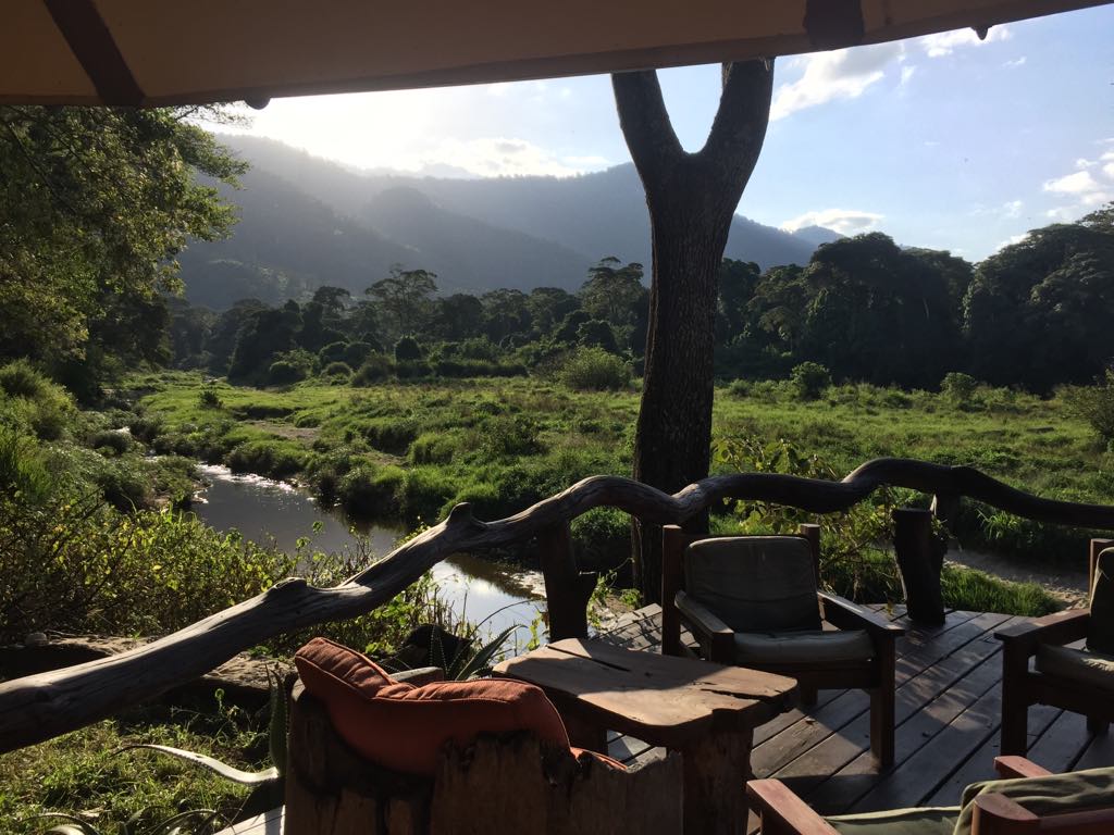 Kitich Forest Camp thumbnail 1