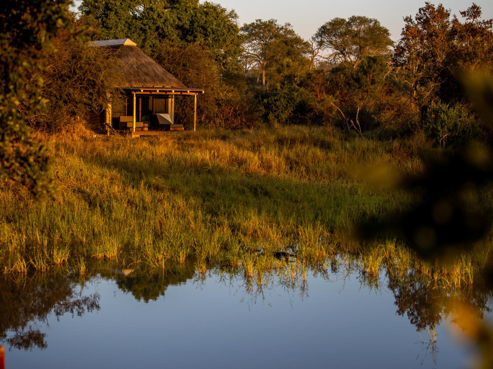 Simbavati Waterside thumbnail 2