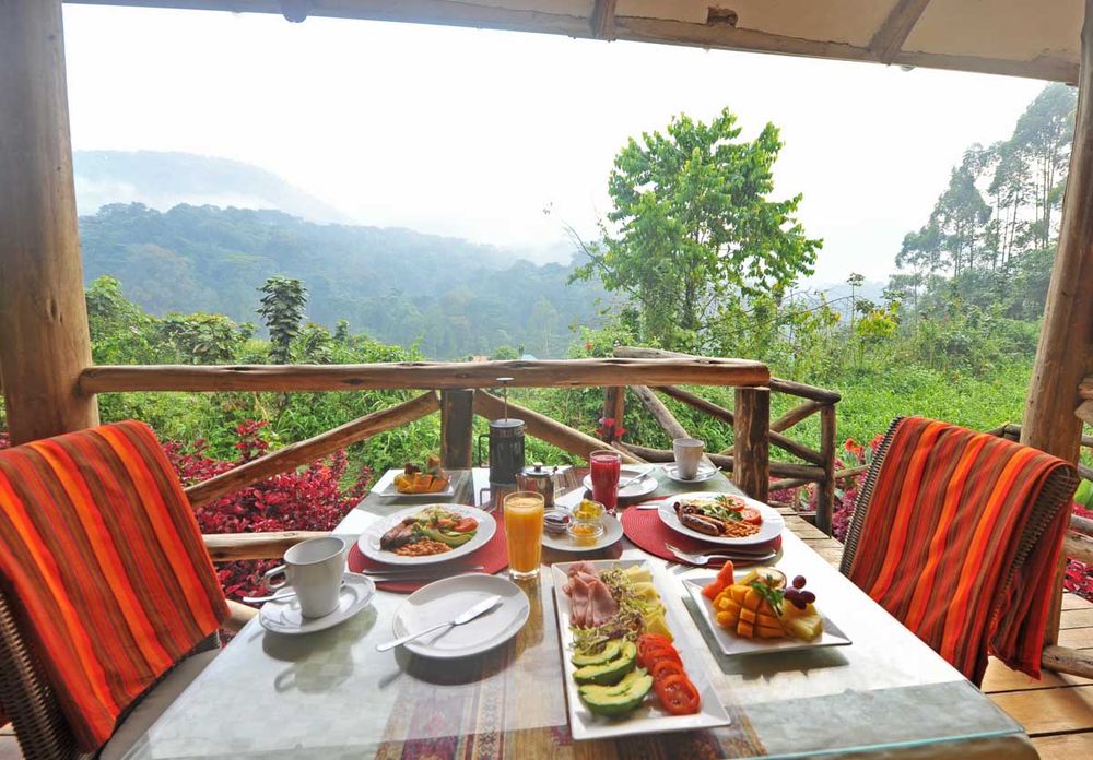 Gorilla Safari Lodge thumbnail 2