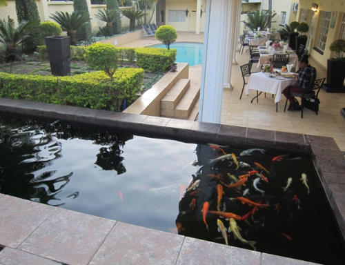 La Barune Guest House thumbnail 3
