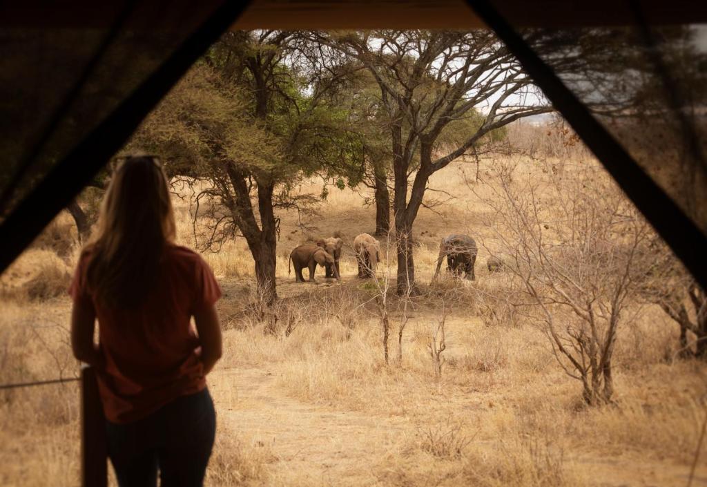 Olkeri Camp thumbnail 1