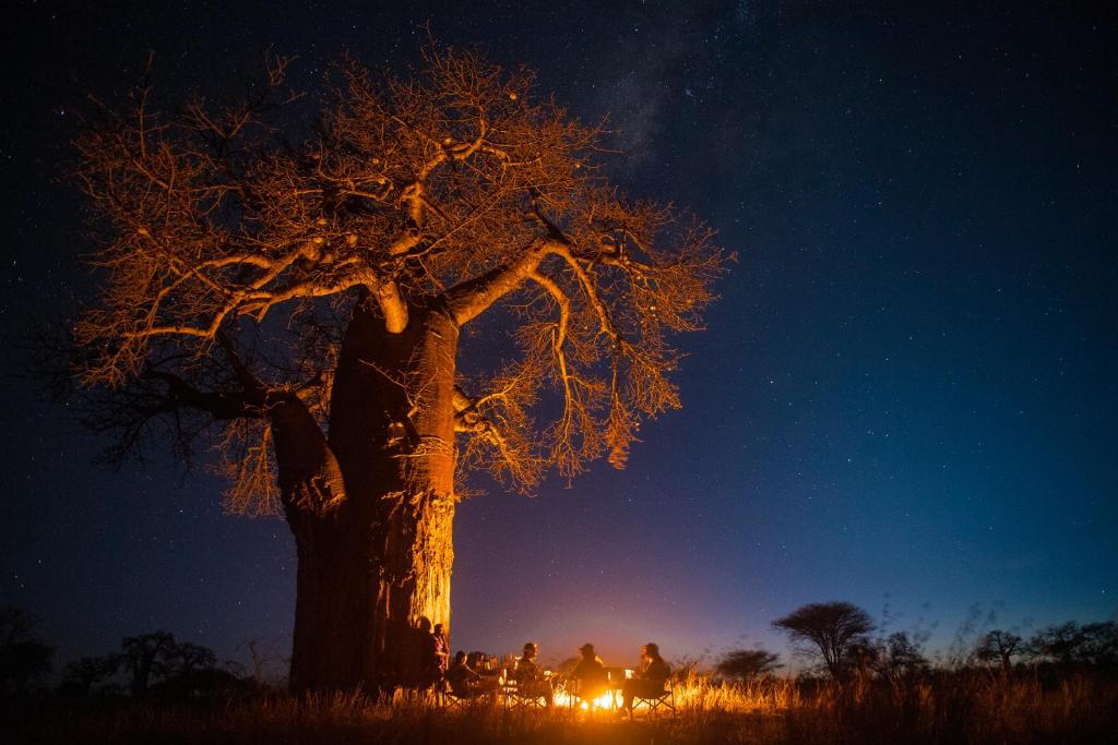 Olkeri Camp thumbnail 5