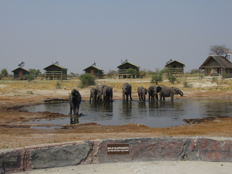 Elephant Sands