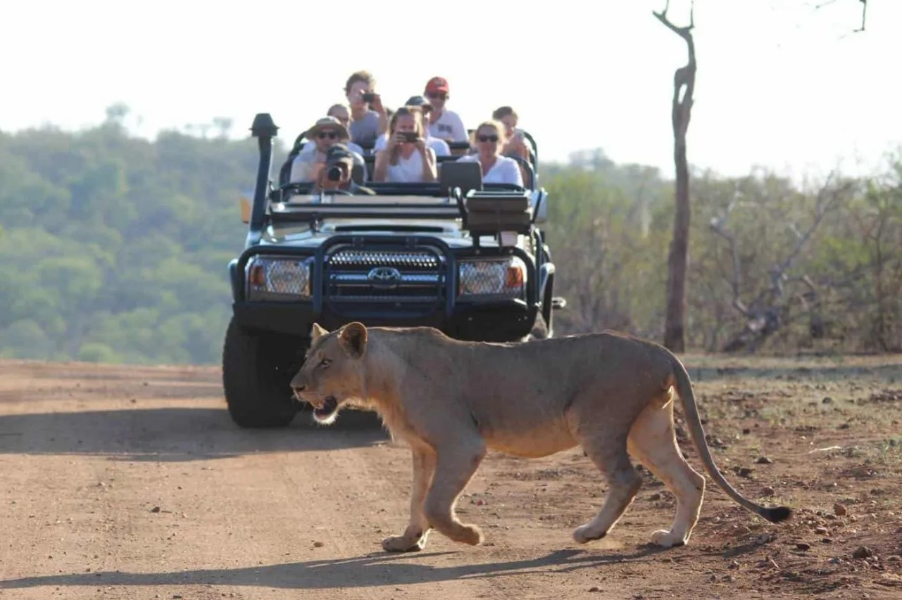 Milima Safari Lodge thumbnail 5