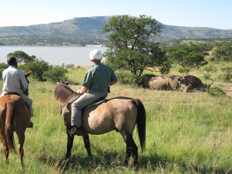 Spionkop Lodge thumbnail 6