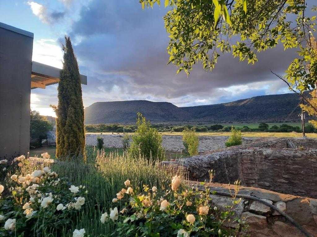 Mountain View Country Guest House