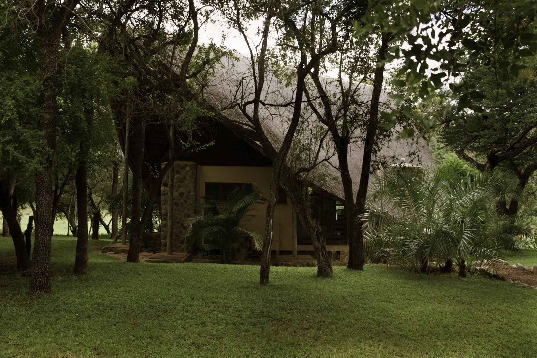 Amakhosi Safari Lodge thumbnail 2