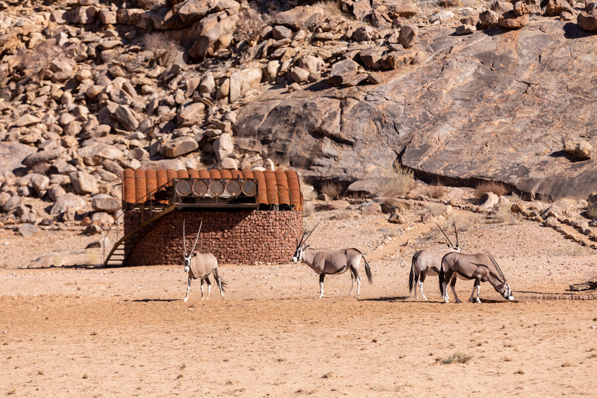 Sossus Under Canvas thumbnail 5