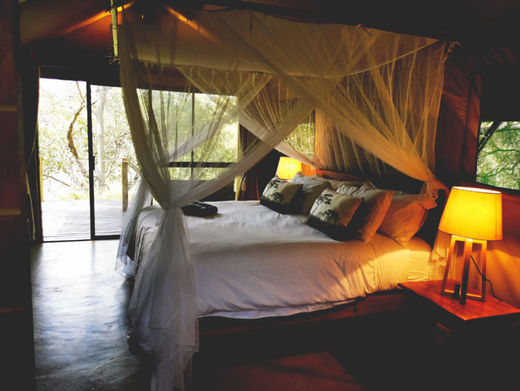 Little Africa Safari Lodge thumbnail 4