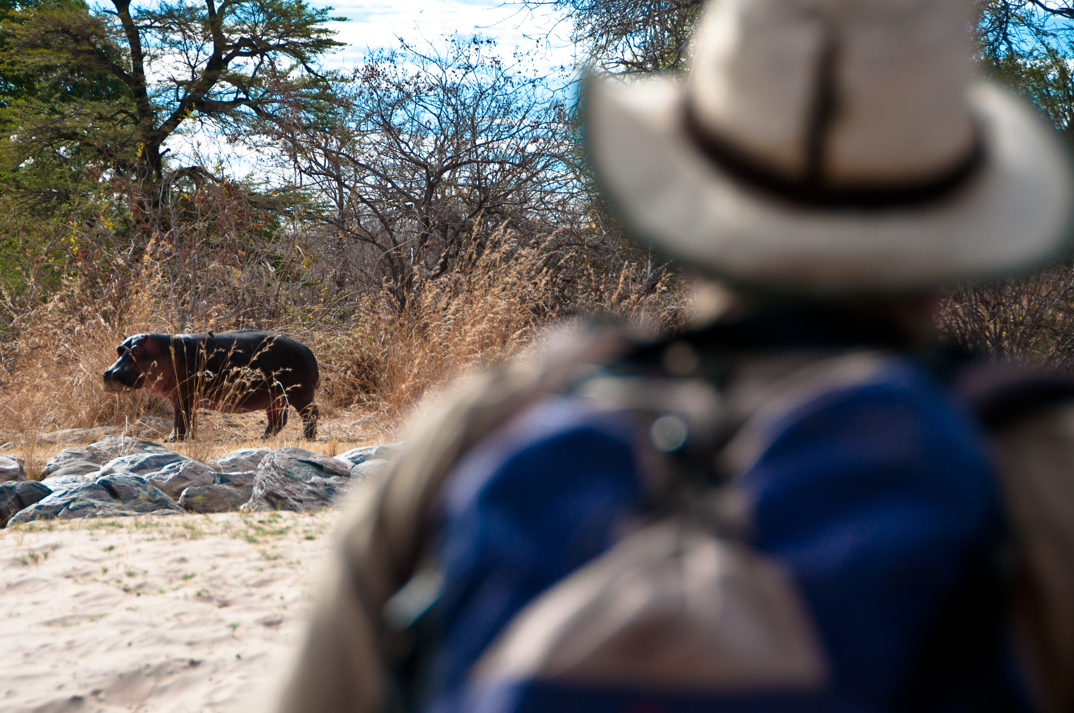 Kichaka Wild - River thumbnail 7