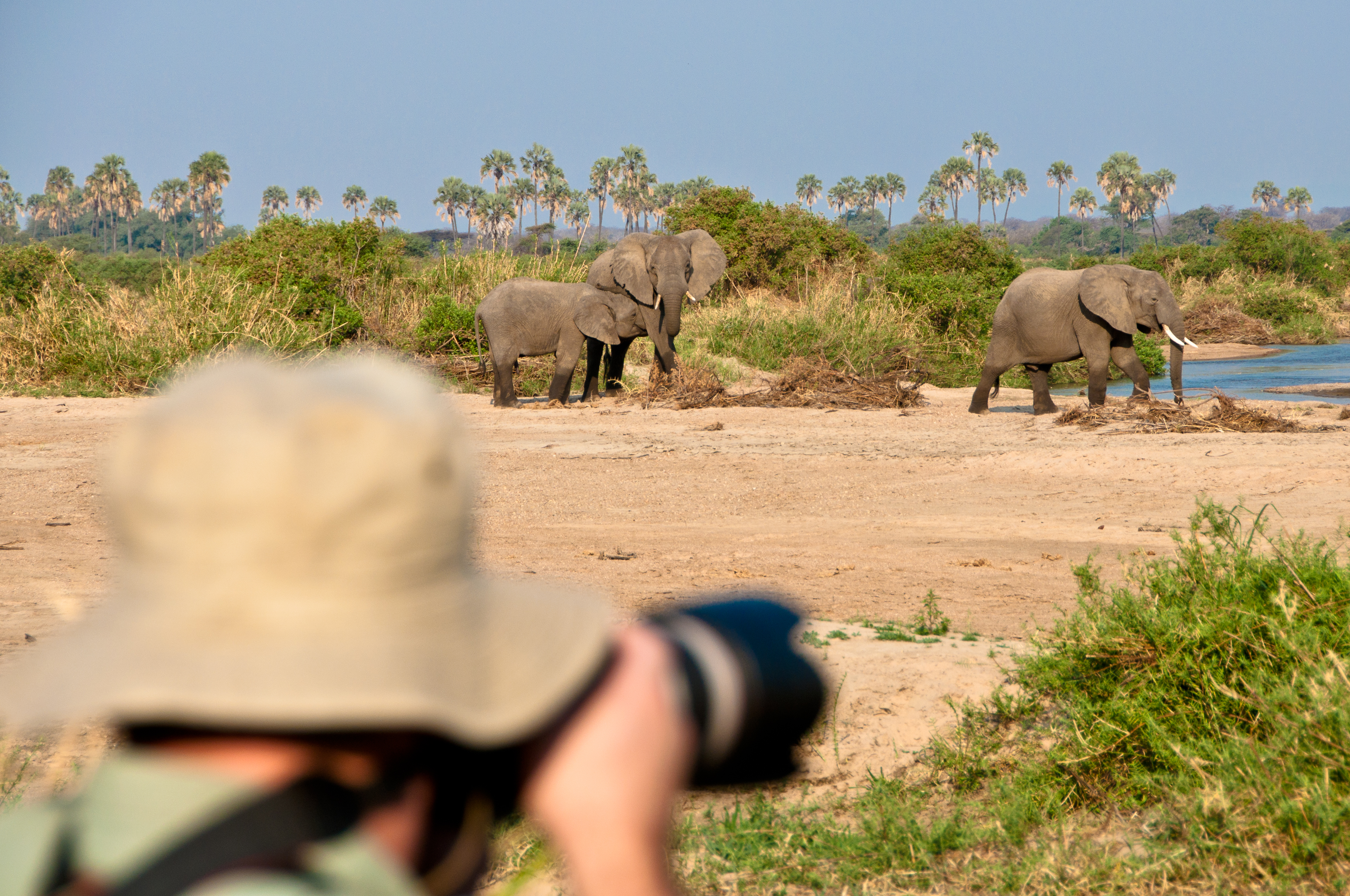 Kichaka Wild - River thumbnail 2