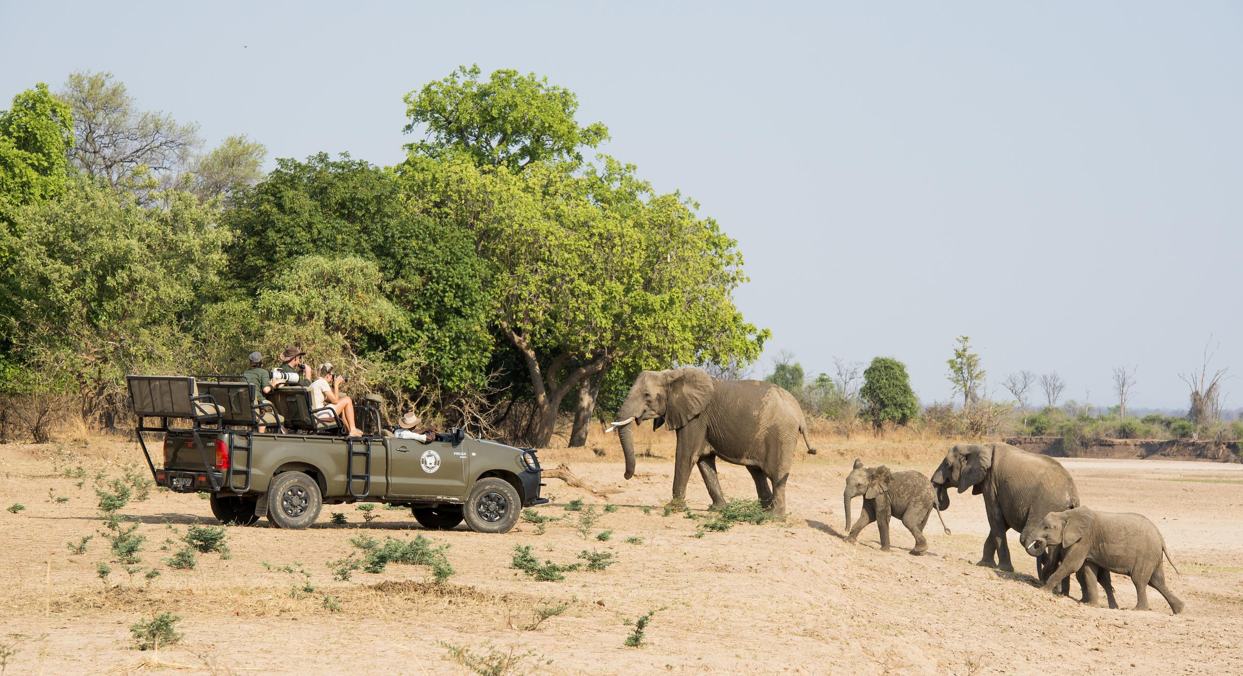 Mwamba Bush Camp