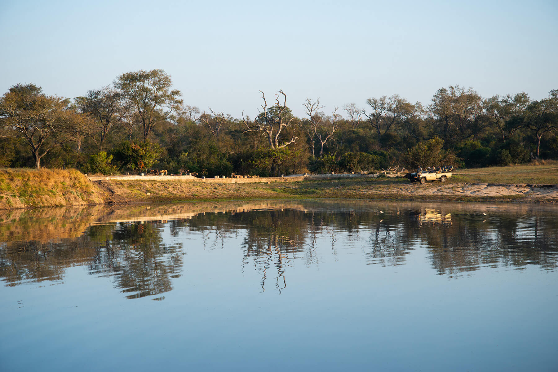 Arathusa Safari Lodge thumbnail 6