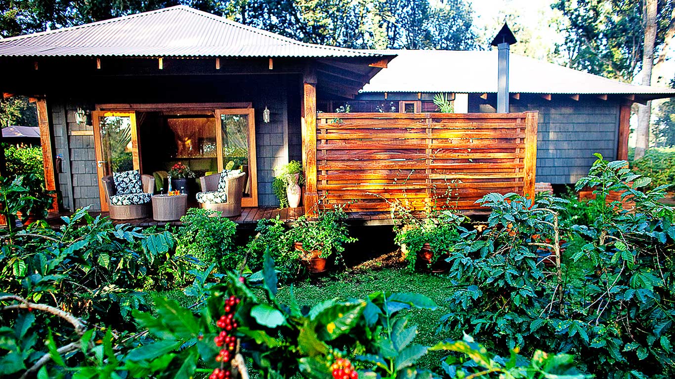 Elewana Arusha Coffee Lodge thumbnail 5