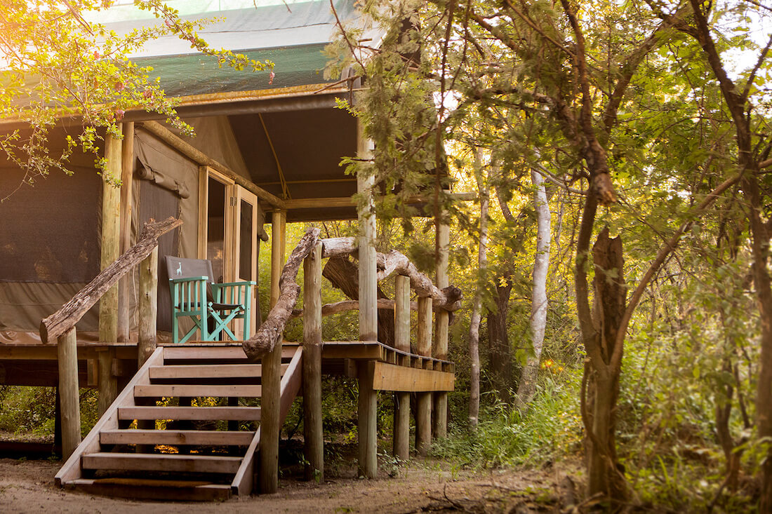 Thamo Telele thumbnail 2