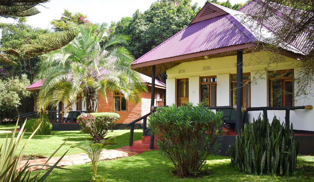 Bougainvillea Safari Lodge thumbnail 2
